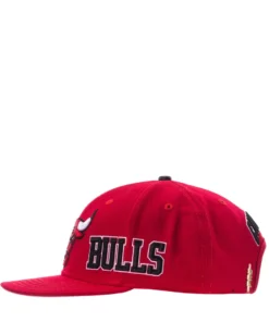 PRO STANDARD Bulls Roses Snapback Hat NEW ARRIVALS