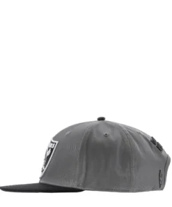PRO STANDARD ACCESSORIES Raiders 2-Tone Team Color Snapback Hat