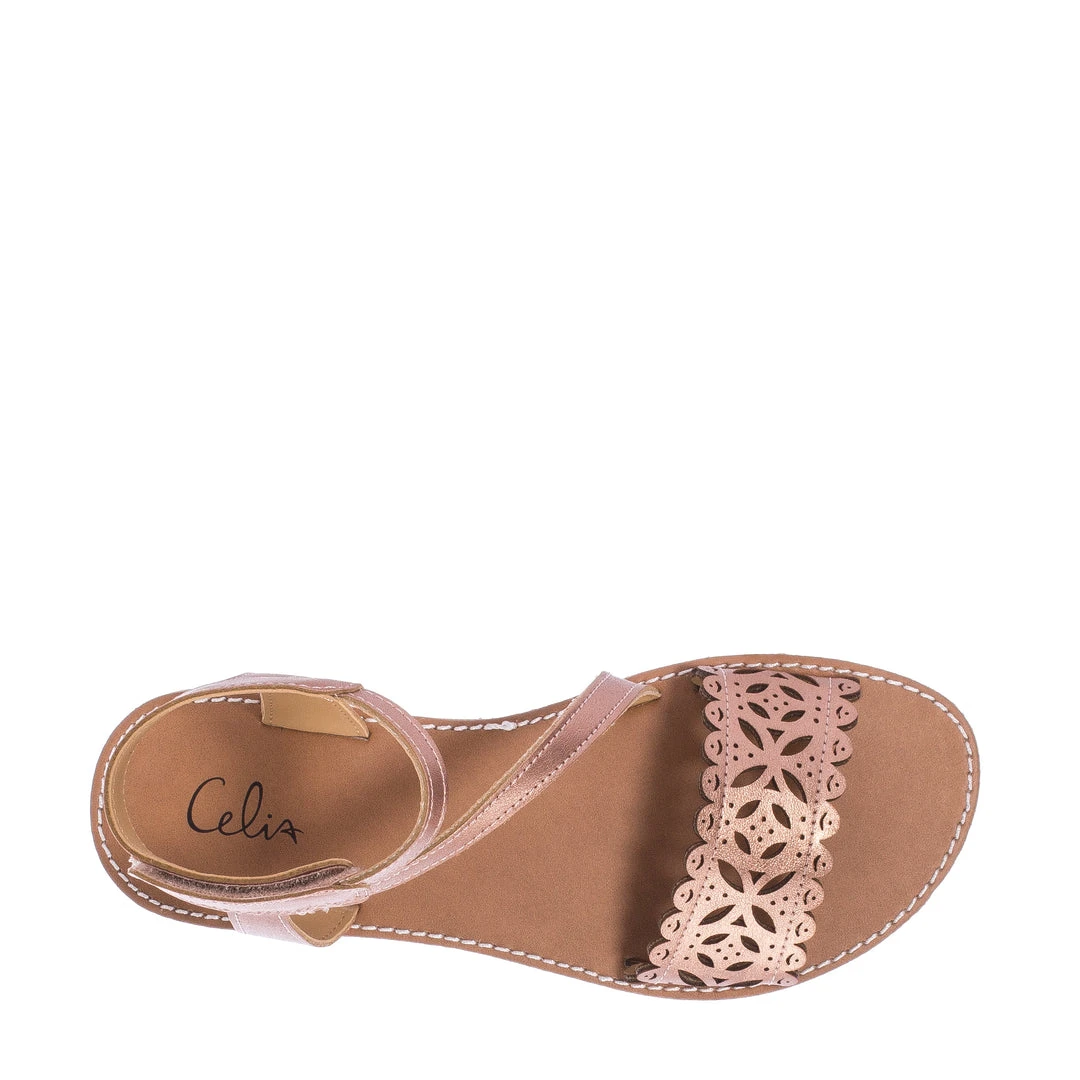 CELIA BEST SELLERS Manchester - Kids