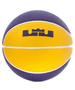 Nike Skills L James Mini Basketball